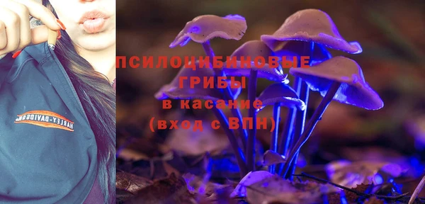 Альфа ПВП Арсеньев